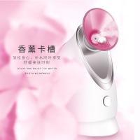 金稻（KSKIN） KD2331A 美容仪 280W 粉色（单位：个）