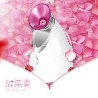 金稻（KSKIN） KD2331A 美容仪 280W 粉色（单位：个）