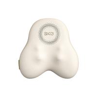 SKG T5系列2代 豪华款 腰部按摩仪 电池容量2500mAh（单位：台）米色
