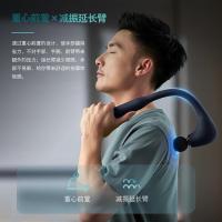 飞利浦（PHILIPS） PPM3502G 按摩锤 15W (单位:台)