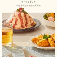 蓝宝（BLAUPUNKT） BP-KQZ507 空气炸锅 4L(单位：台)