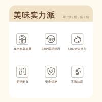 蓝宝（BLAUPUNKT） BP-KQZ507 空气炸锅 4L(单位：台)