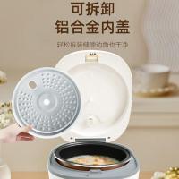 豹牌 BP-WB166 5L 电饭煲（单位:台）