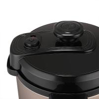 荣事达（Royalstar） YDG60-100A207 电压力锅 6L  (单位：台 )