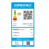 TCL R163F1G-B 冰箱 双门小型冰箱 迷你电冰箱 一体成型箱体 (单位:台)闪白银
