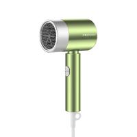 荣事达（Royalstar）RC-210Z 电吹风 1800W（单位：台）绿色