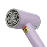 思嘉思达 SKD-C0161 森的电吹风 1250W（单位：台）