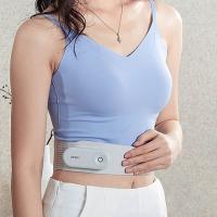 攀高（PANGAO） Waist M5 智能腰腹部按摩带 150g  （单位：个）