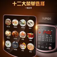 苏泊尔（SUPOR） DG60YC13 电炖锅 电火锅 6L 黑咖色（单位：台）