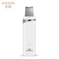 金稻（KSKIN） KD8023 美容仪 3W 白色（单位：个）