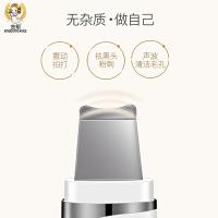 金稻（KSKIN） KD8023 美容仪 3W 白色（单位：个）