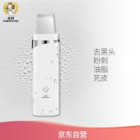 金稻（KSKIN） KD8023 美容仪 3W 白色（单位：个）