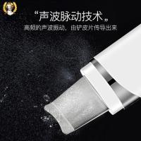 金稻（KSKIN） KD8023 美容仪 3W 白色（单位：个）