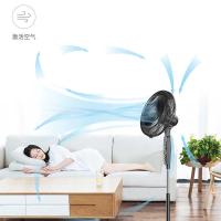 艾美特（AIRMATE） 落地扇电风扇 120min定时关机 FS40-X39 390*450*1300mm (单位:台)