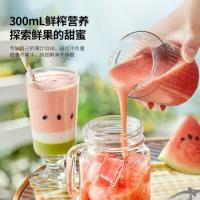 现代（HYUNDAI） 果汁机 HY-008 300ml (单位:台)