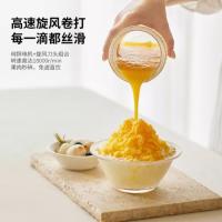 现代（HYUNDAI） 果汁机 HY-008 300ml (单位:台)
