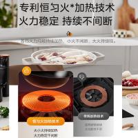 美的（Midea） DZ22S03E 电磁炉 2200W 黑色（单位：个）