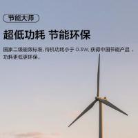TCL 75GA63K-JN 家用平板电视 75英寸 （单位：台）