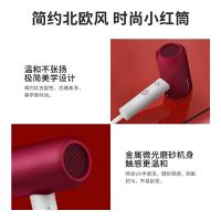 超人（SID） RD7610 电吹风 1600W（单位：台）