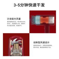 超人（SID） RD7610 电吹风 1600W（单位：台）
