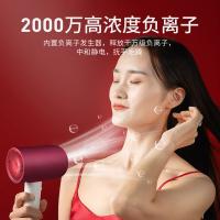 超人（SID） RD7610 电吹风 1600W（单位：台）