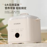 现代（HYUNDAI） NE-250A 煮蛋器 197*161*176mm（单位：台）