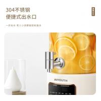 艾青春（AIYOUTH） 多功能养生壶 AI-YSH888 3L (单位:台)