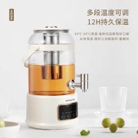 艾青春（AIYOUTH） 多功能养生壶 AI-YSH888 3L (单位:台)