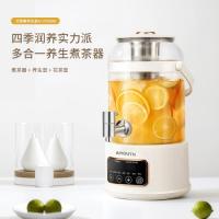 艾青春（AIYOUTH） 多功能养生壶 AI-YSH888 3L (单位:台)