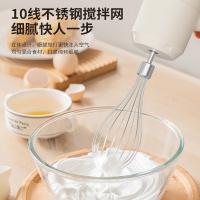 先锋（SINGFUN） TK-D301 电动打蛋器 20W（单位：个）