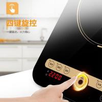 苏泊尔（SUPOR） 电磁炉 大功率智能触控 C22-IH91 2200W (单位:套)  配双锅 26CM不锈钢汤锅+32CM炒锅 金色