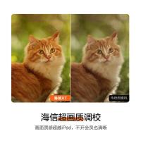 海信（Hisense） 27X7N 可移动电视 大白闺蜜机 27英寸 白色（单位：台）
