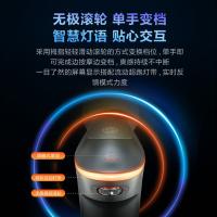 SKG F7 筋膜枪 按摩器 五档调节 陨石灰（单位：个）