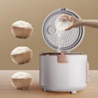 创维（Skyworth）F628电饭煲 白色 5L（单位：台）