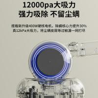 荣事达（Royalstar）RS-XCM309除螨仪100W（单位：台）