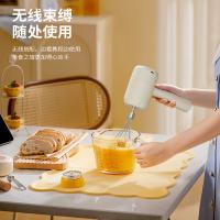 先锋（SINGFUN） TK-D301 电动打蛋器 20W 白色(单位：个）