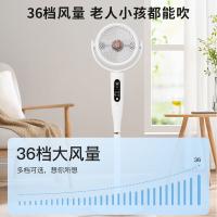 先锋（SINGFUN） DXH-S22R 电风扇 320*320*1150mm  （单位:台）