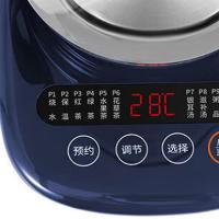 九阳（Joyoung） K15D-WY202 养生壶 1.5L (单位: 台)