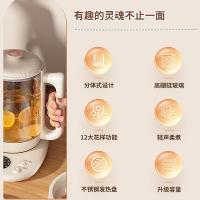 华生 HD-318 养生壶 1.8L （单位:个）