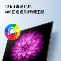 康佳（KONKA） 4K电视机 LE D50G30UE 50英寸 (单位:台)