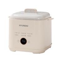 现代（HYUNDAI） NE-250A 煮蛋器 197*161*176mm （单位:个）