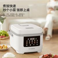 现代（HYUNDAI） FBD40-7A9 电饭煲 4L (单位:台)
