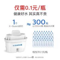 飞利浦（PHILIPS） AWP2814WHT-13 净水器 一壶十三芯 透明色（单位：套）