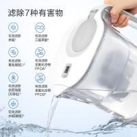 飞利浦（PHILIPS） AWP2814WHT-13 净水器 一壶十三芯 透明色（单位：套）