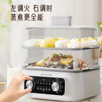 九阳（Joyoung） DZ150HG-GZ616 电蒸锅 1600W (单位:台)