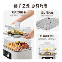 九阳（Joyoung） DZ150HG-GZ616 电蒸锅 1600W (单位:台)