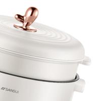 山水（SANSUI）S-HG1545 多功能电火锅 2.5L (单位:台）