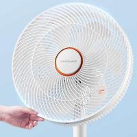 荣事达（Royalstar） FD-30L501(Q) 电风扇 60W (单位: 台)