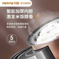 九阳（Joyoung） F40FZ-F4190 电饭煲 860W 4L（单位：台）摩卡棕