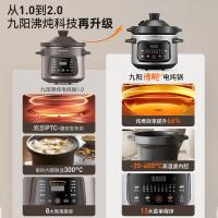 九阳（Joyoung） GD407 电火锅 4L 黑色（单位：台）